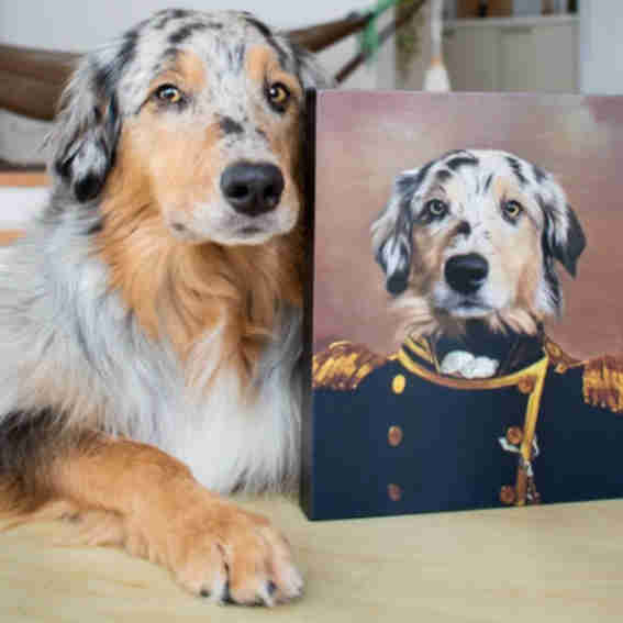Crown & Paw Reviews