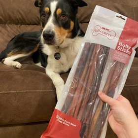 Best Pet Supplies