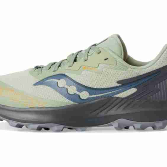 Women's Peregrine 14 GTX