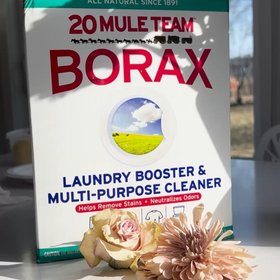 20 Mule Team Laundry