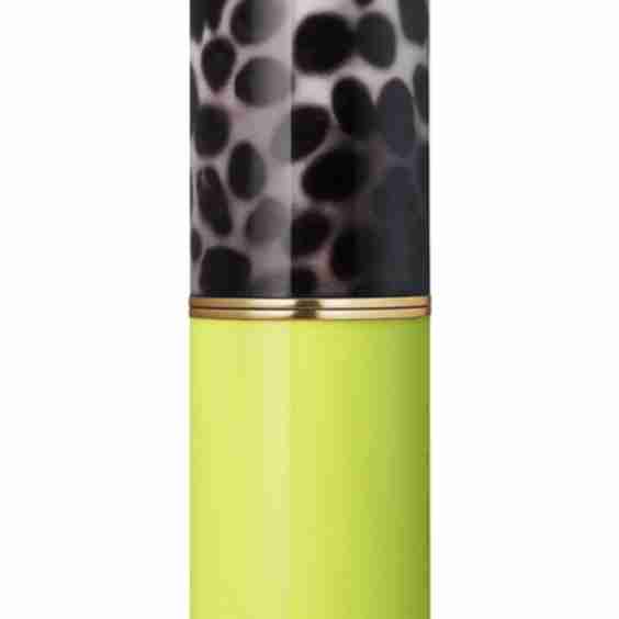  Lipstick Case