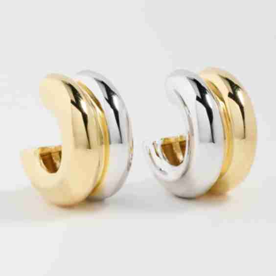 Two Tone Double Hoop Earrings