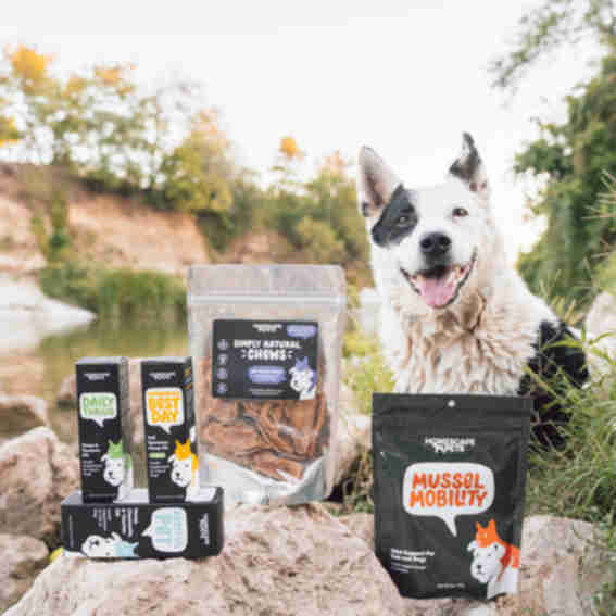 Homescape Pets Reviews