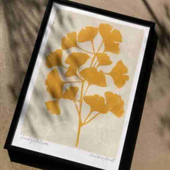 PrintedPlant Reviews