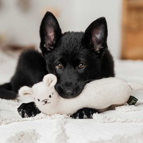 Ruff and Tumble