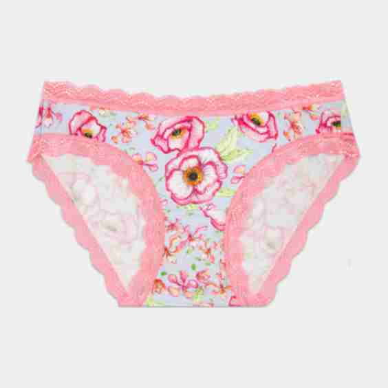 The Original Brief 