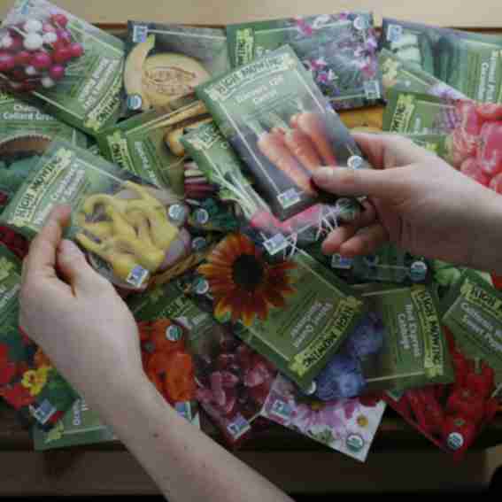 High Mowing Organic Seeds Reviews