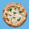 Genio Della Pizza