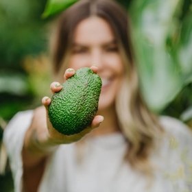 The avo tree