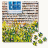 Elms Puzzles