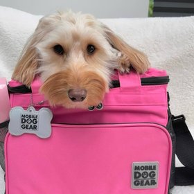 Mobile Dog Gear