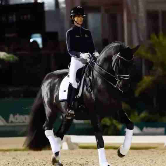 Equestrian Stockholm Reviews