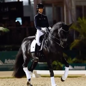Equestrian Stockholm