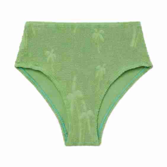 Palmer Briefs