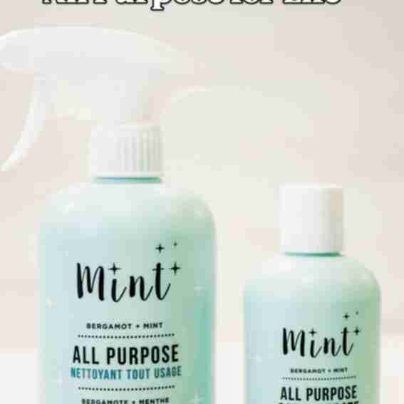 Mint Cleaning Products Reviews