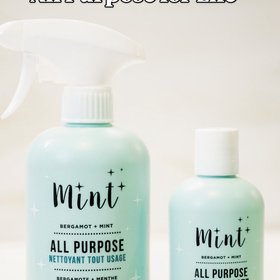 Mint Cleaning Products