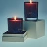 Better World Fragrance