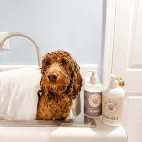 The Salty Dog Pet Co.