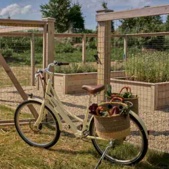 Edutchi Electric Bike
