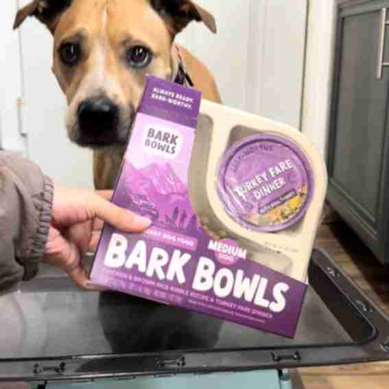 Bark Bowls Reviews