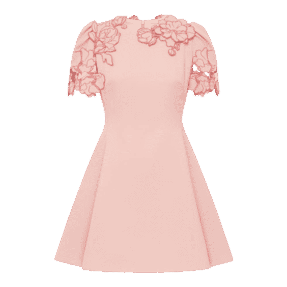 Elyse Applique Fit Flare Mini Dress