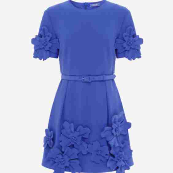 Aurélie Floral-Appliqué Minidress