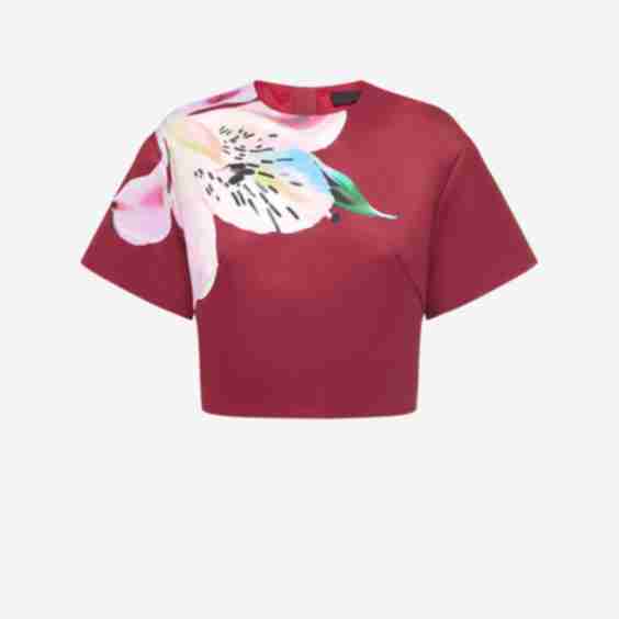 Indie Sleeve Top