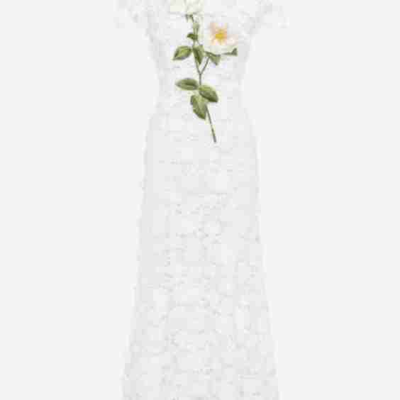Monique Embroidered Lace Maxi Dress