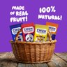  Chum Fruit Bites