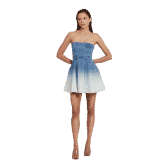 Meryl Denim Dress