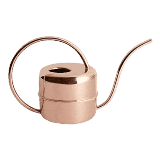 Watering Can