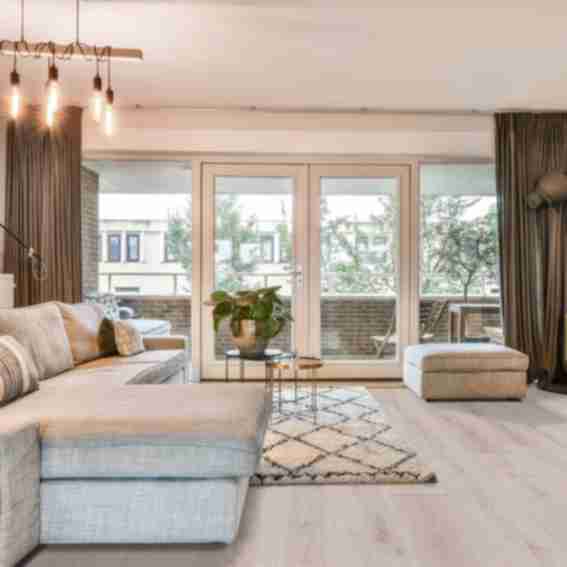 Hardwood Bargain Reviews