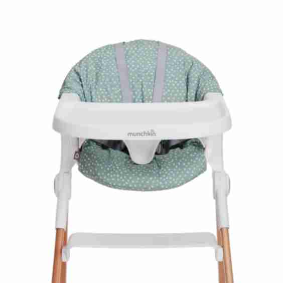 Early Feeding Support Cushion