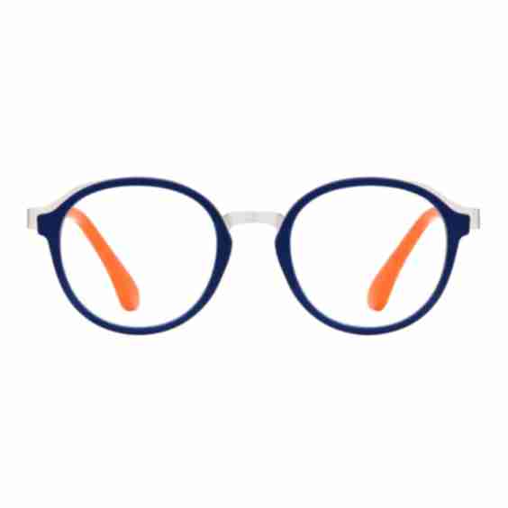 Teddy Glasses