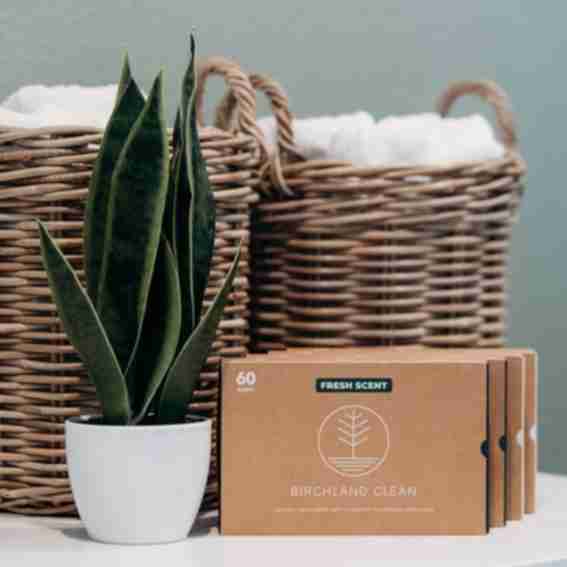Birchland Clean Reviews