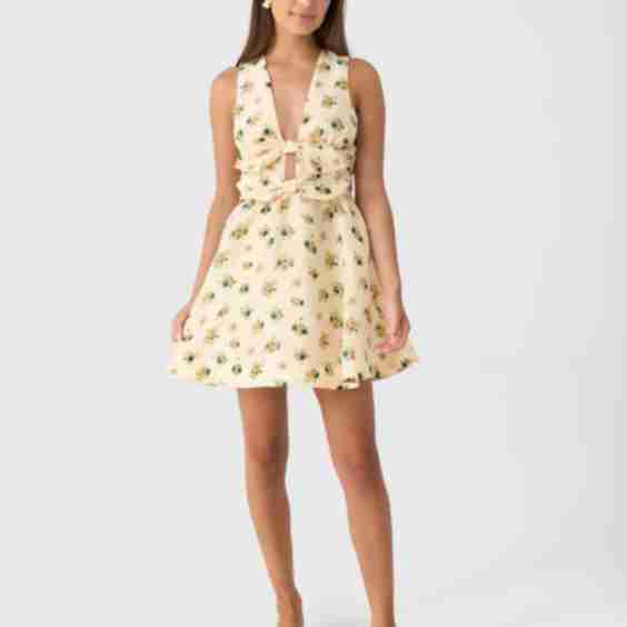 Delilah Mini Dress