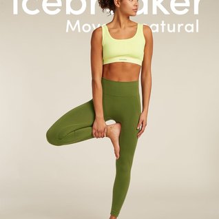 Icebreaker