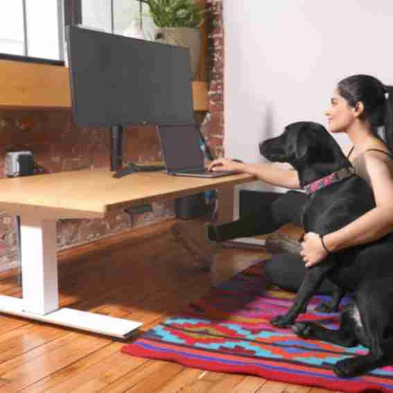 Low Desk Reviews