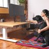 Low Desk