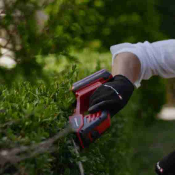 einhell Reviews