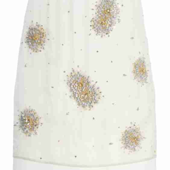 Triumph Embroidered Silk-Organza Skirt