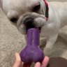 FreezBone