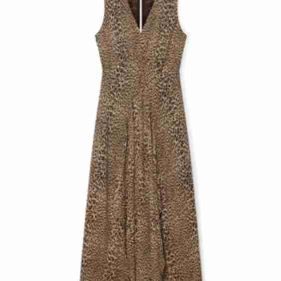 Leopard Print Maxi Dress