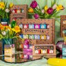 Spicewalla