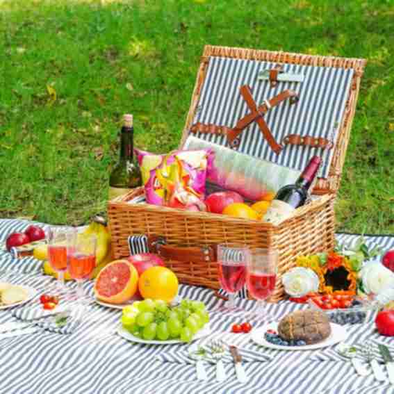 HappyPicnic Reviews