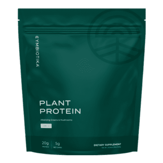 Plant Protein