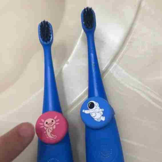 Truthbrush Reviews
