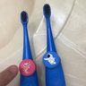 Truthbrush