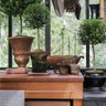LemonTree + Co.