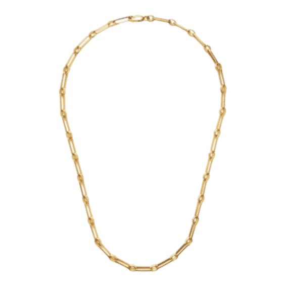 Aegis Chain Necklace